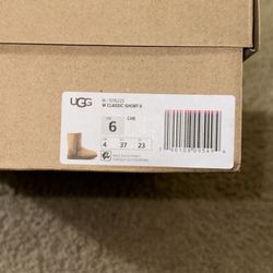 Woman Ugg Classic Short II Size 6