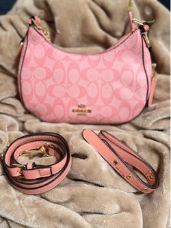 Women coach purses