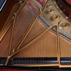 Beautiful black flat finish Steinway Model M Free