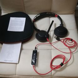 Plantronics ♨️ PLT headphones with mic