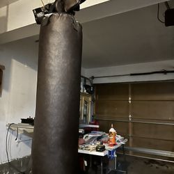 Everlast 100lb bag with Gloves