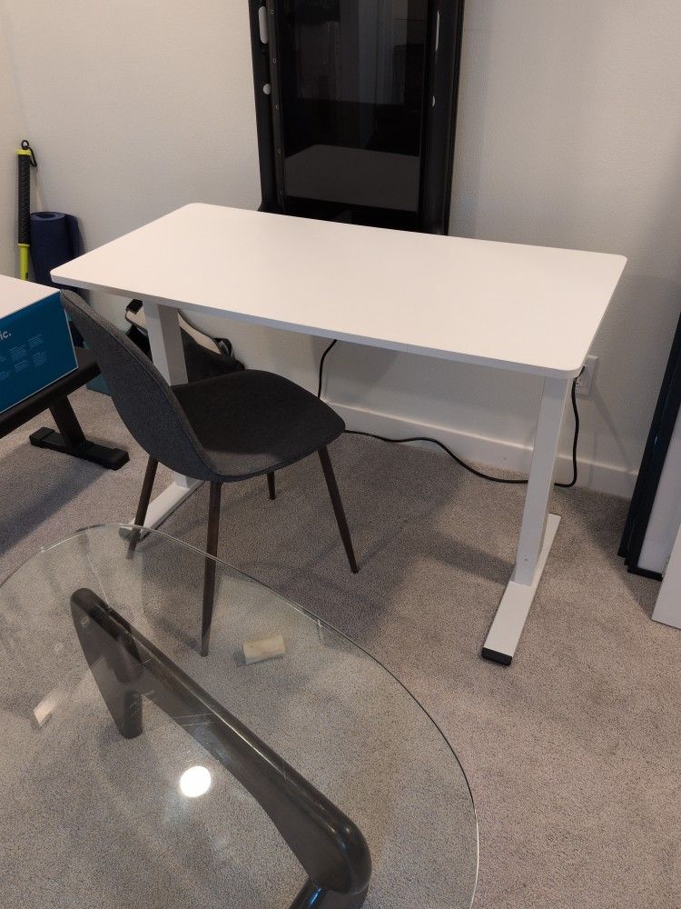 Standing Adjustable Desk