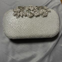 Silver Purse 