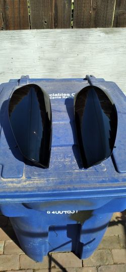 Colorado Tinted Tails