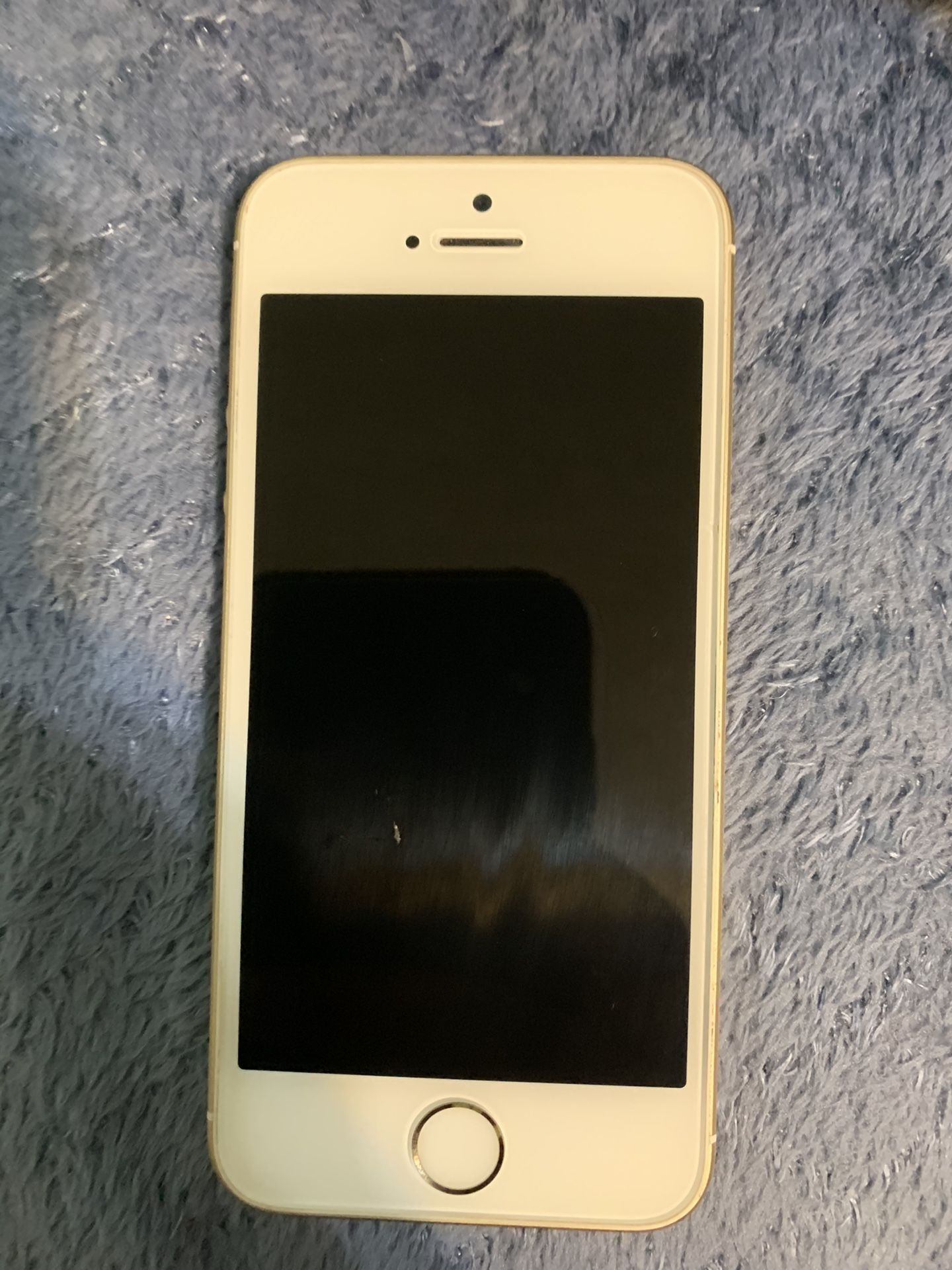 iPhone 5 SE