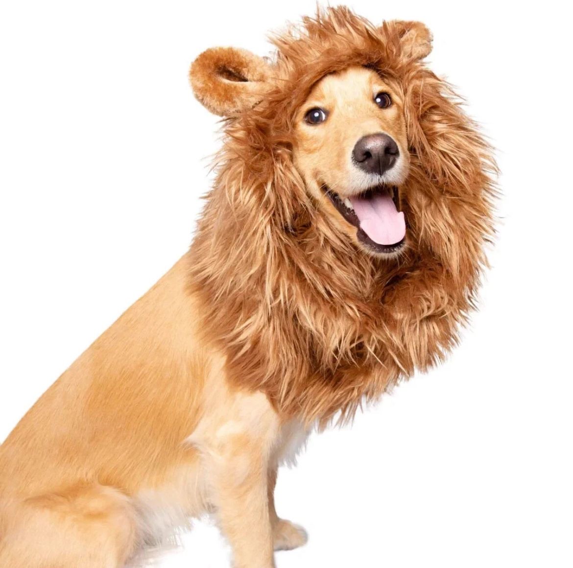 Pet Krewe Large Dog Lion Mane Halloween Costume – Fits Neck Size 13”- 32”