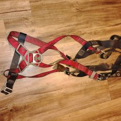 Harness 
