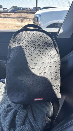 Spray ground backpack
