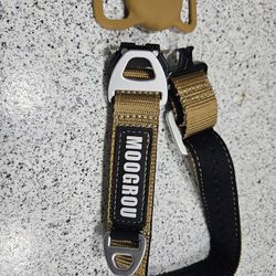 Brand New Dog Collar