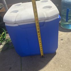 Cooler Coleman$10