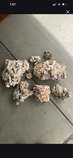 Saltwater aquarium reef rock decor