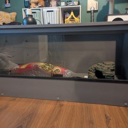 120 Gallon Snake Tank 