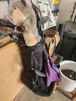 Golf clubs and travel case