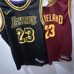 Lebron James Jerseys (Lakers & Cavaliers)