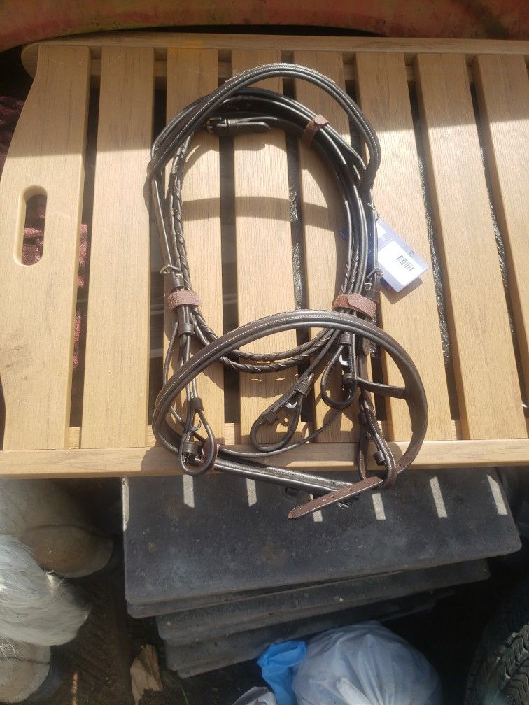 Horse bridle