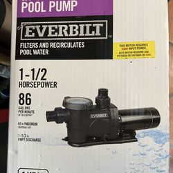 1 1/2 Horse Power Pool Pump (Everbuilt) 