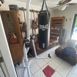 MMA/Boxing Punching Training Bag