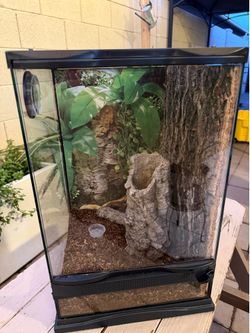 reptile terrarium