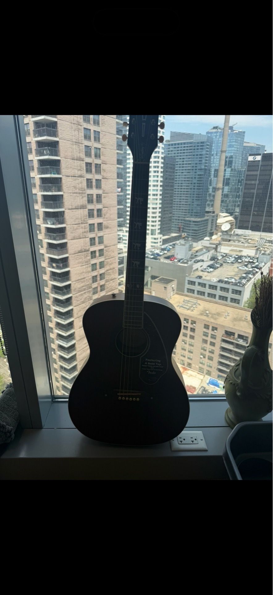 Guitar