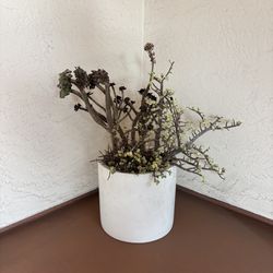 One Medium Cylindrical Planter Pot With Succulent Arrangement 