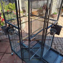 Bird cage for sale