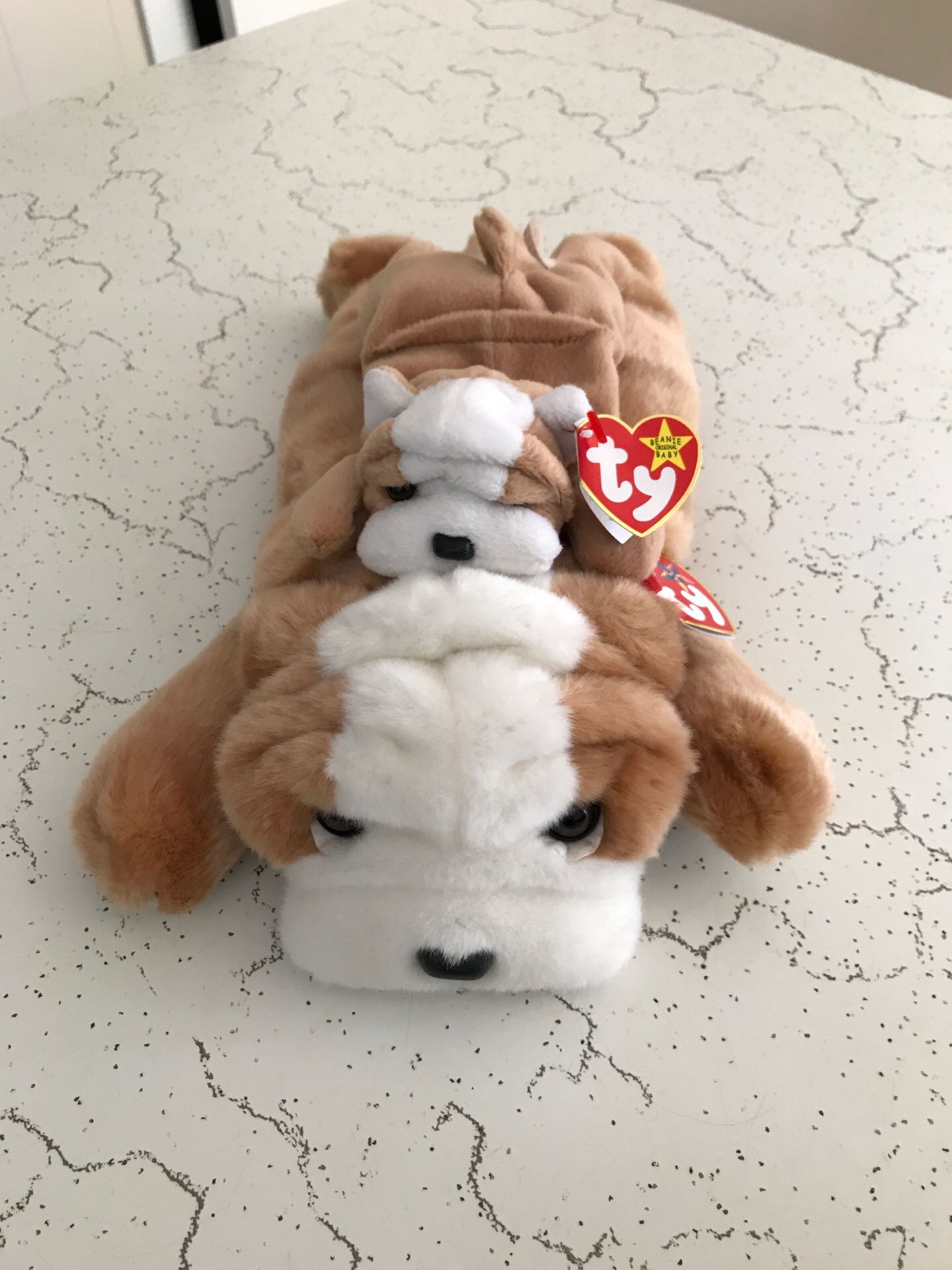 Rare Ty buddy and beanie baby set of Wrinkles the bulldog