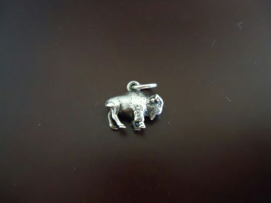 James avery retired bison authentic charm