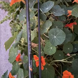 Trifecta lite 902 Phenix surf rod