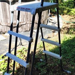 Pool Ladder 