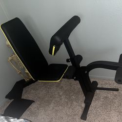 Leg Extension/Preacher Curl Home Gym Equipment 