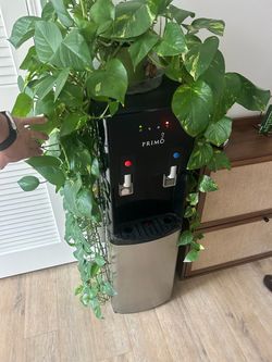 Loading water dispenser + plant and 3 5 gallon water
