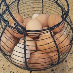 Fresh Chicken Eggs 