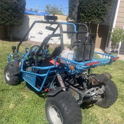 2 seater go cart 