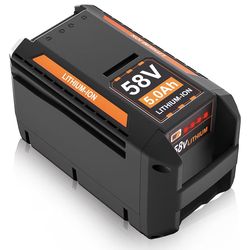 Echo 58v battery