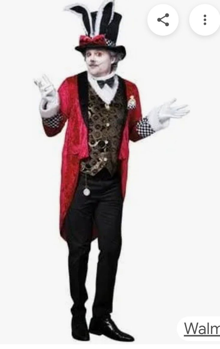 Alice In Wonderland Men's Costume Large