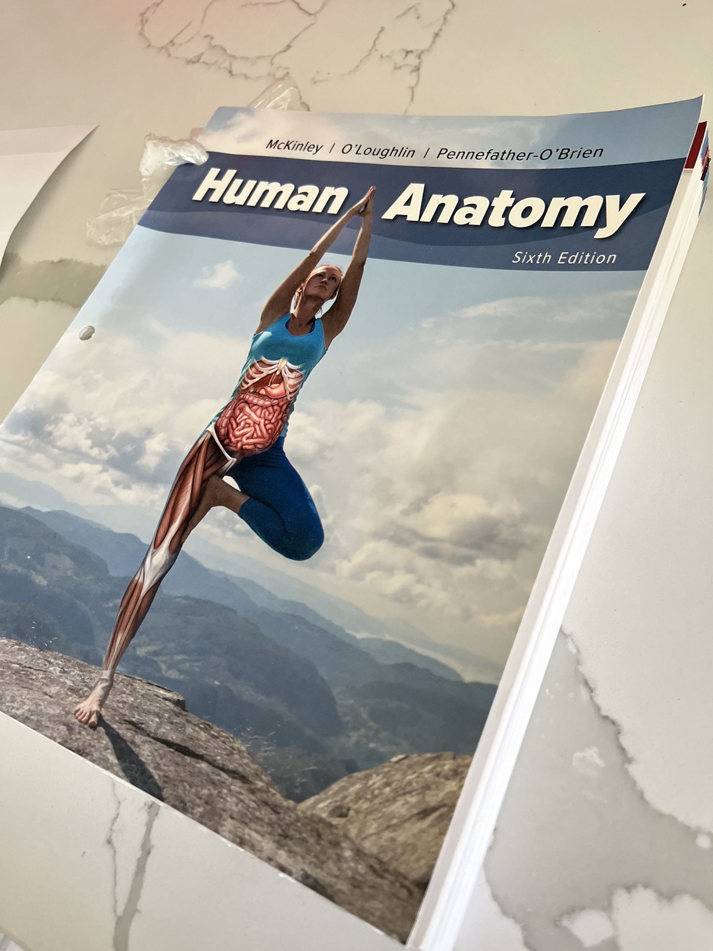 College Text Book - Human Anatomy