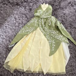 Beautiful Princess Tiana From The Disney Princess And The Frog 