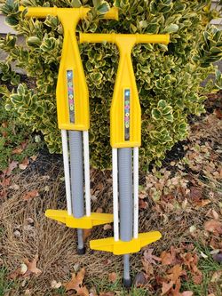 Pair of pogoroo pogo sticks