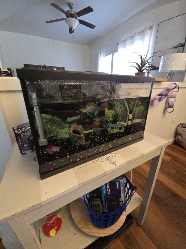 Fish Tank