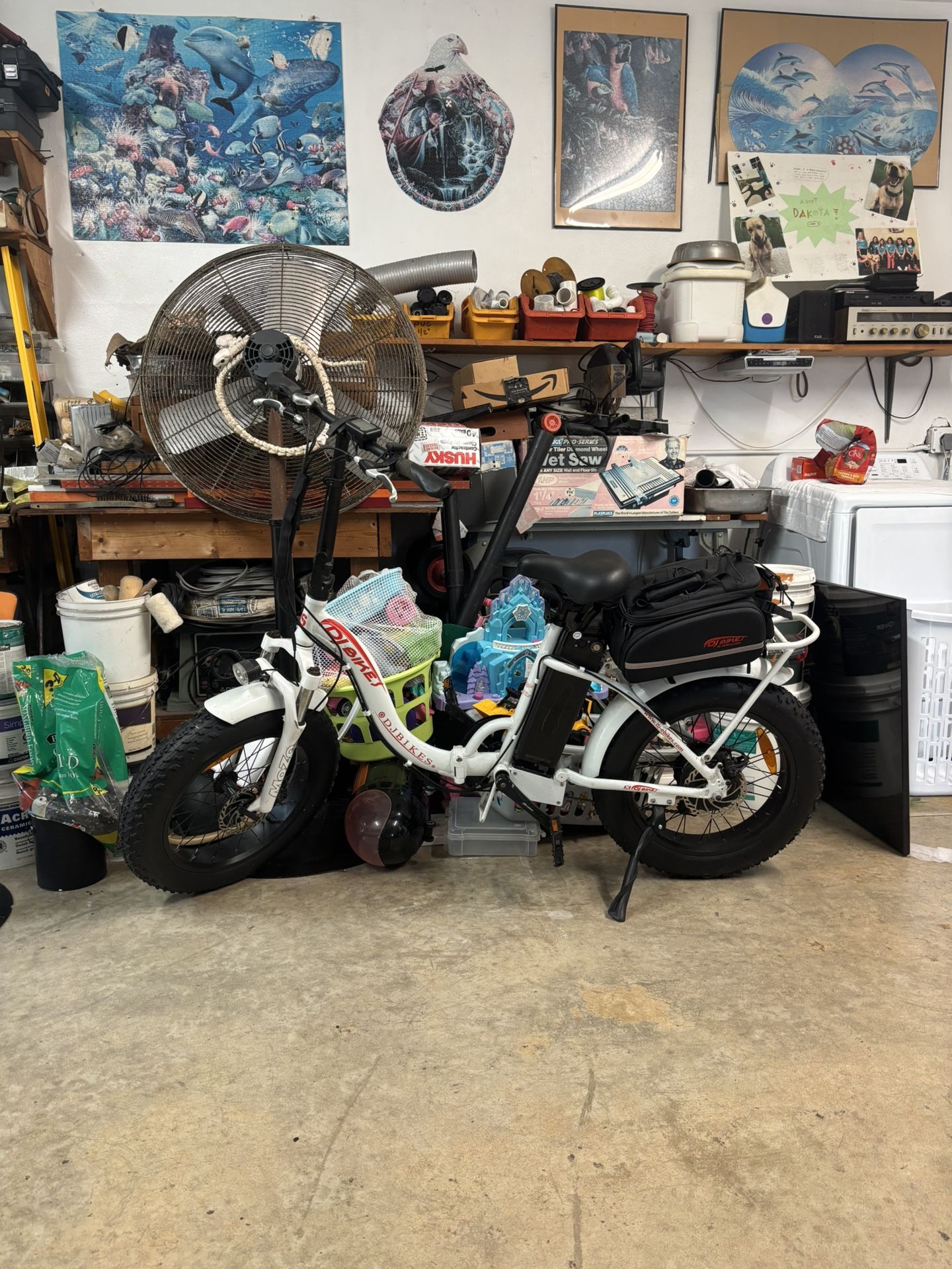 Folding Electric Bike