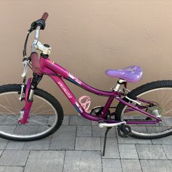 20-inch Girl Bicycle (Magenta/Purple)