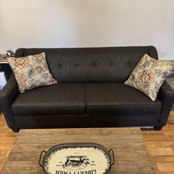 Sleeper Sofa And Love Seat