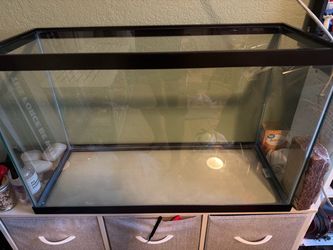 30 Gallon Fish Tank