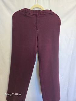 Ann Taylor Woman's pants