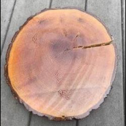 Stained Tree Rings (17 Total)