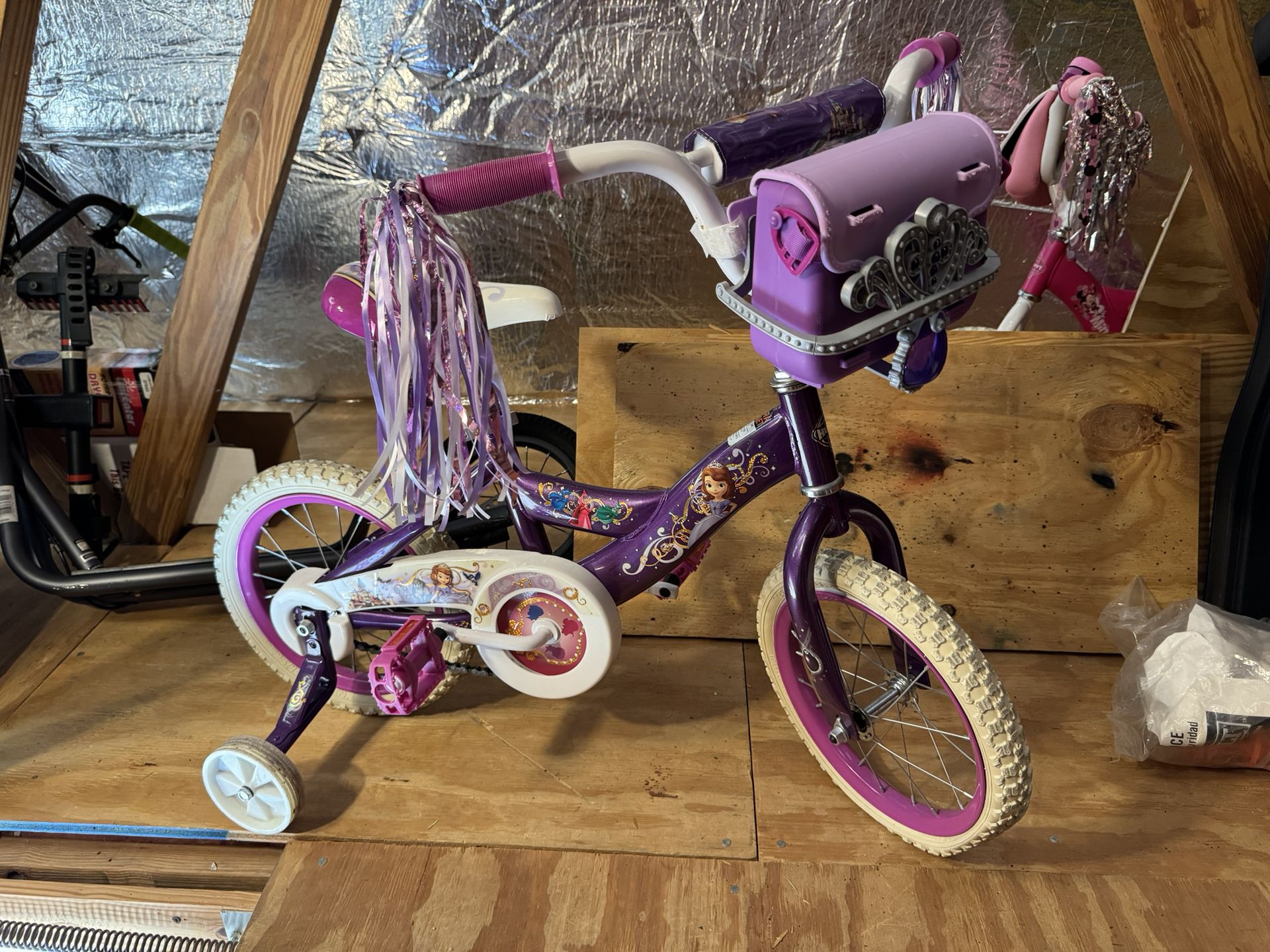Kid’s Bike: Disney’s Sophia The First