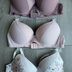 Women’s Laura Ashley® 3pk Nylon Lace Push Up Bras 34C