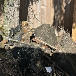 Tree Stump & Root Pieces 