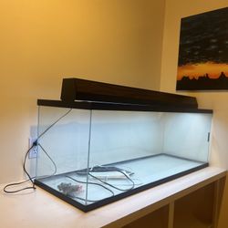 Reptile Tank