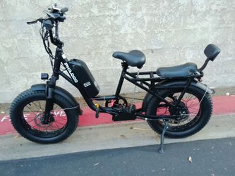 Philodo Fat Tire Electric Bike